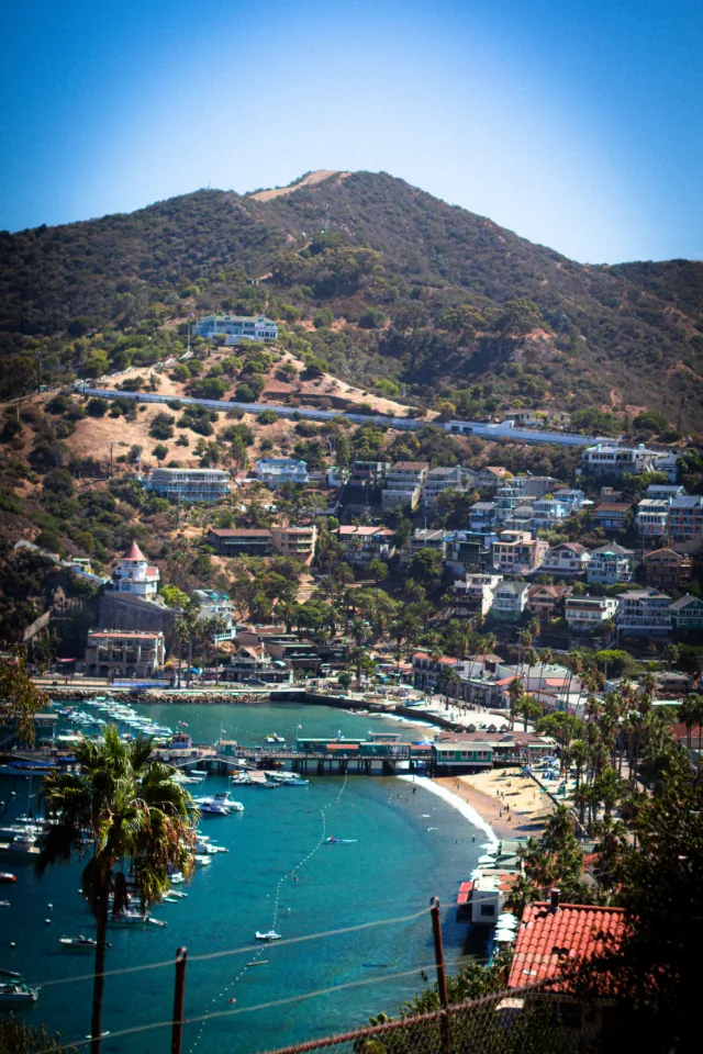 Avalon Harbor